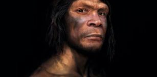 Neanderthals Died Out 40,000 Years Ago, But There Has Never Been More Of Their DNA On Earth