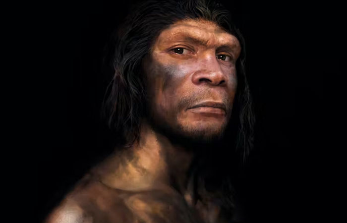 Neanderthals Died Out 40,000 Years Ago, But There Has Never Been More Of Their DNA On Earth