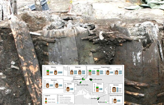 DNA In Viking Poop Sheds New Light On 55,000-Year-Old Relationship Between Gut Companions