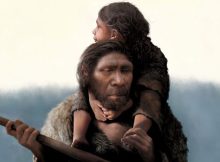 Meet The First Neanderthal Family And Community