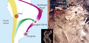 Unexpected And Surprising Results Of Ancient DNA Study - Who Were The First People In South America?