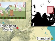 Thirsty Wheat Needed New Water Management Strategy In Ancient China