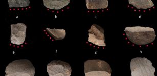 Earliest Evidence Of Rice Harvesting Provided By China's Ancient Stone Tools