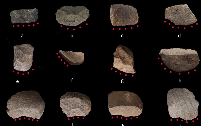 Earliest Evidence Of Rice Harvesting Provided By China's Ancient Stone Tools