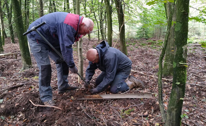 More Than 1,000 Prehistoric Burial Mounds Discovered In The Netherlands ...