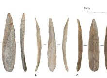 Mass Production Of Stone Bladelets Led To A Cultural Shift In Paleolithic Levant