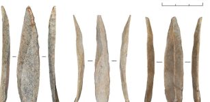 Mass Production Of Stone Bladelets Led To A Cultural Shift In Paleolithic Levant