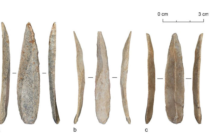 Mass Production Of Stone Bladelets Led To A Cultural Shift In Paleolithic Levant