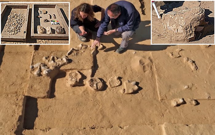 Ostrich Eggs Dated More Than 4,000 Years Discovered In Negev Desert Of Southern Israel