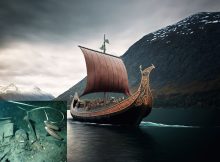 DNA Reveals How The Vikings Changed Scandinavian Migration And Ancestry