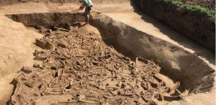 Unusual Find - Headless Skeletons Discovered In A 7000-Year-Old Mass Grave In Slovakia