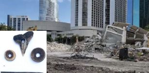 Major Archaeological Discovery Of A 7,000-Year-Old Settlement In Miami - But Its Future Is In Danger