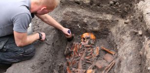 Evolution Of Plague Over Hundreds Of Years In Scandinavia Documented By Scientists