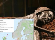 1,000 Bog Bodies From Across Scandinavia Reveal More Ancient Secrets - Here's What Scientists Found