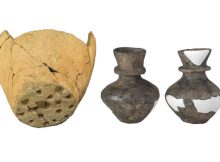 Neolithic Ceramics Reveal Dairy Processing From Milk Of Multiple Species