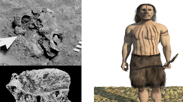 Re-Discovered Ancient Ksâr 'Akil Fossils Shed New Light On Human Evolution