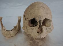 DNA Study Of Ancient Humans Sheds Light On Human Evolution On The Tibetan Plateau