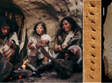 Evidence Europeans Made Leather Clothing 40,000 Years Ago - New Study