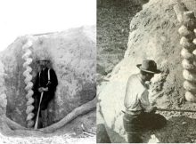 Devil's Corkscrews Extraordinary Giant Spirals Of Nebraska Rocky Mountains