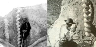 Devil's Corkscrews Extraordinary Giant Spirals Of Nebraska Rocky Mountains