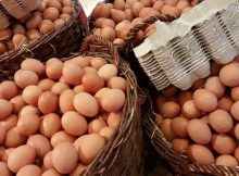 What The Egg Crisis Reveals About Our Food System