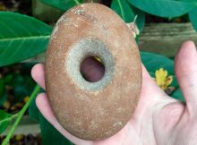 Mesolithic Stone Mace Head Found Near Buckingham, UK