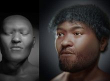 Face Of Egyptian Man Who Lived 35,000 Years Ago Reconstructed