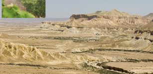 View of Ein Avdat (Hebrew: עין עבדת‎) in the Zin Valley of the Negev desert.