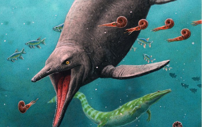 Oldest Sea Reptile From Age Of Dinosaurs Found On A Remote Arctic Island