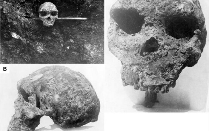 Evolution Puzzle - Broken Hill Skull And Homo Heidelbergensis Cast Doubt Over Modern Human Ancestry