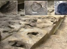 Sensational Discovery: 300,000-Year-Old Snapshot - Oldest Human Footprints From Germany Found