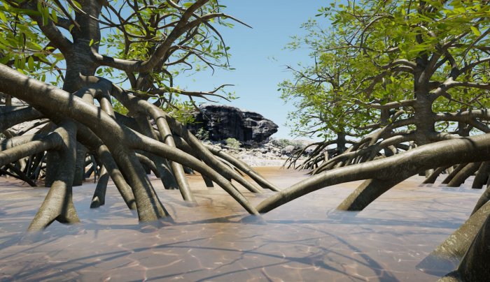 Map Of Hidden NT Landscape Where First Australians Lived More Than 60,000 Years Ago Sea level flooding - Mangroves Image. Credit: Dr Jarrad Knowlessar, Flinders University
