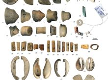 Discovered Shell Beads Shed New Light On Stone Age Seafaring