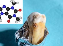 Major Breakthrough - Stone Age Molecules Revived By Scientists