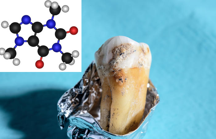 Major Breakthrough - Stone Age Molecules Revived By Scientists