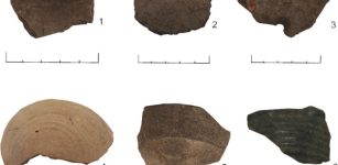 Earliest Evidence Of Wine Consumption In The Americas Found In Caribbean