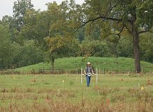 Remains at Crenshaw Site Are Local, Ancestors Of Caddo - New Study