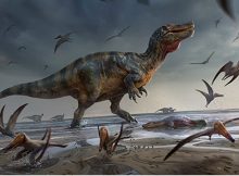 Multiple Species Of Semi-Aquatic Dinosaur May Have Roamed Pre-Historic Britain