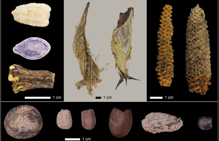 El Gigante Offers Lessons In Sustainability, Evolution And Human Adaptation, Courtesy Of The Holocene