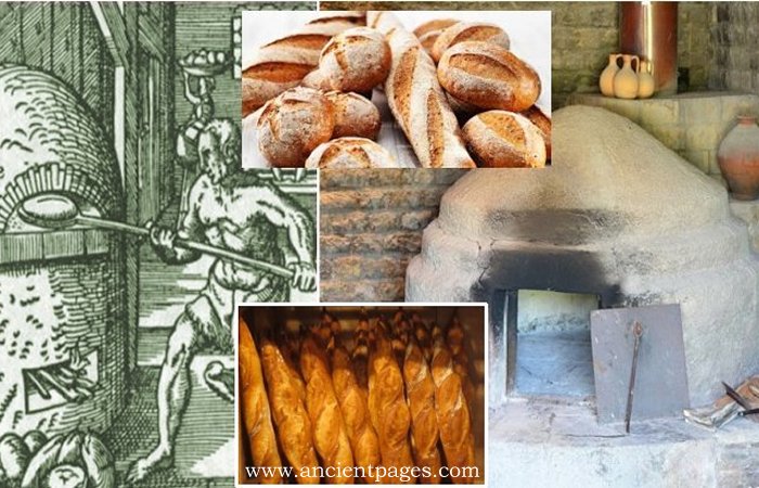 History Of Bread: Basic Food For The Sick, Poor, Pilgrims, Travelers, And All Other People Around The World History Of Bread: Basic Food For The Sick, Poor, Pilgrims, Travelers, And All Other People Around The World