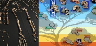World's Oldest Burial Site Reveals Homo Naledi Buried Their Dead 100,000 Years Before Humans