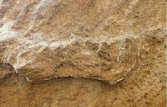 World's Oldest Homo Sapiens Footprint Identified On South Africa's Cape South Coast