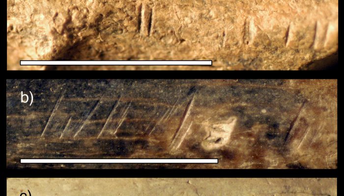 Humans' Evolutionary Relatives Butchered One Another 1.45 Million Years Ago