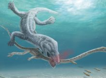 Long-Necked Reptiles Were Decapitated By Their Predators, Fossil Evidence Confirms