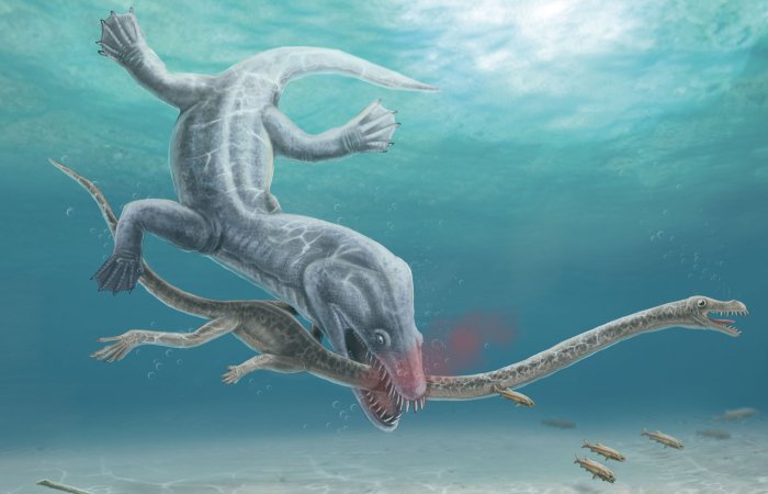 Long-Necked Reptiles Were Decapitated By Their Predators, Fossil Evidence Confirms