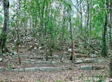 Ancient Maya City And Pyramids Discovered In Mexican Jungle