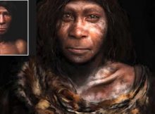 New Details On Neanderthals - Revealed By Museum Exhibition In Norway