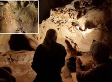 Neanderthal Cave Engravings Identified As Oldest Known, More Than 57,000 Years Old