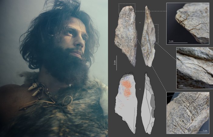 neanderthal weapons