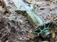 Extraordinarily Well-Preserved 3,000-Year-Old Octagonal Sword Unearthed In Germany